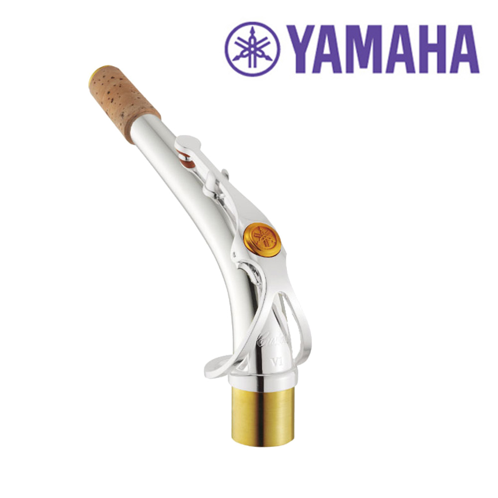 [YAMAHA] �߸��� ������ Ŀ���� �� / ���� V1 �ǹ� / AV1S