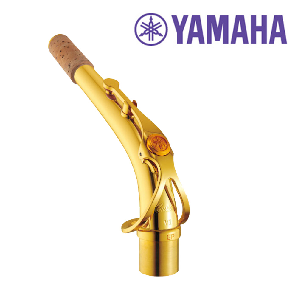 [YAMAHA] �߸��� ������ Ŀ���� �� / ���� V1 ����÷���Ʈ / AV1GP