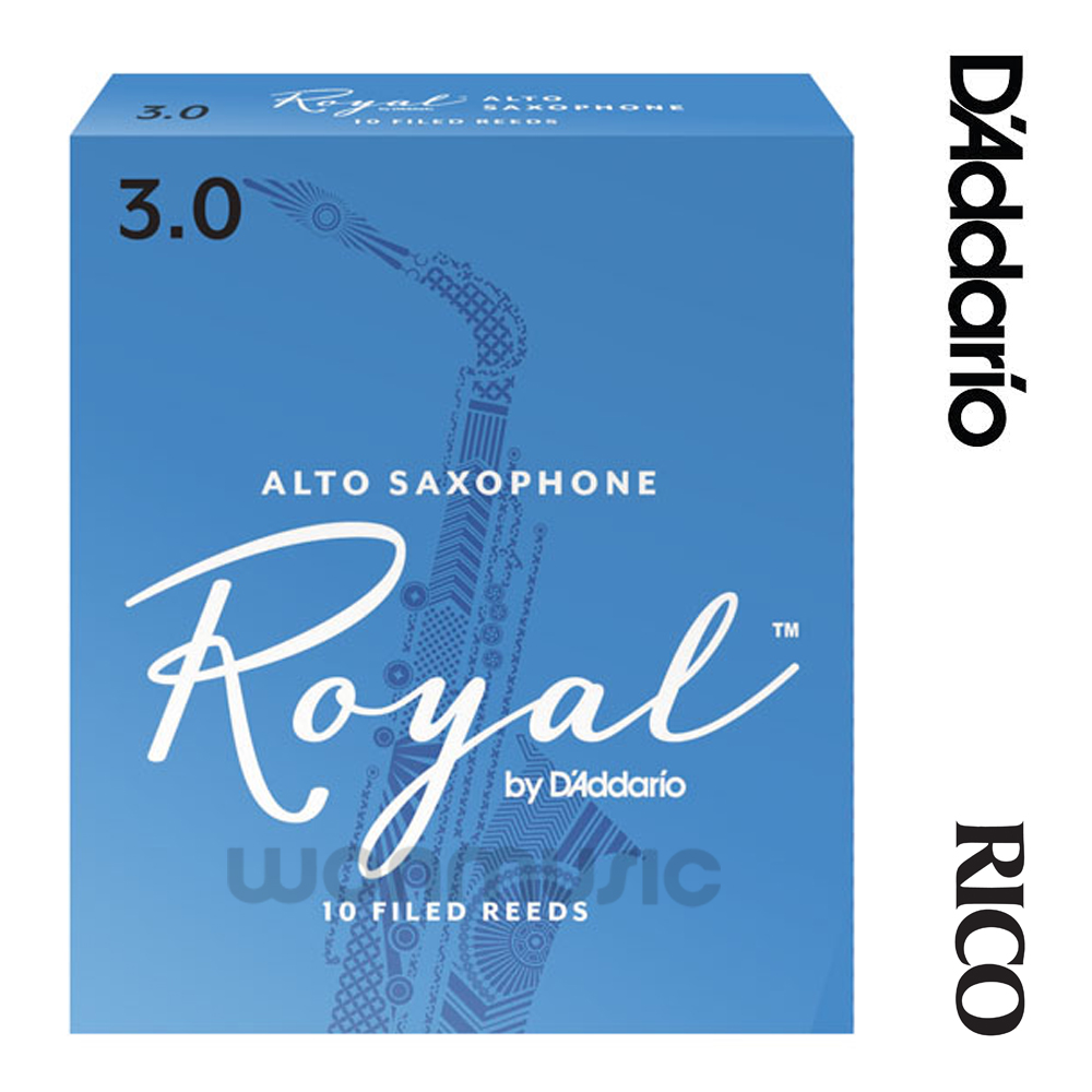 [RICO]  ξ(Royal)   