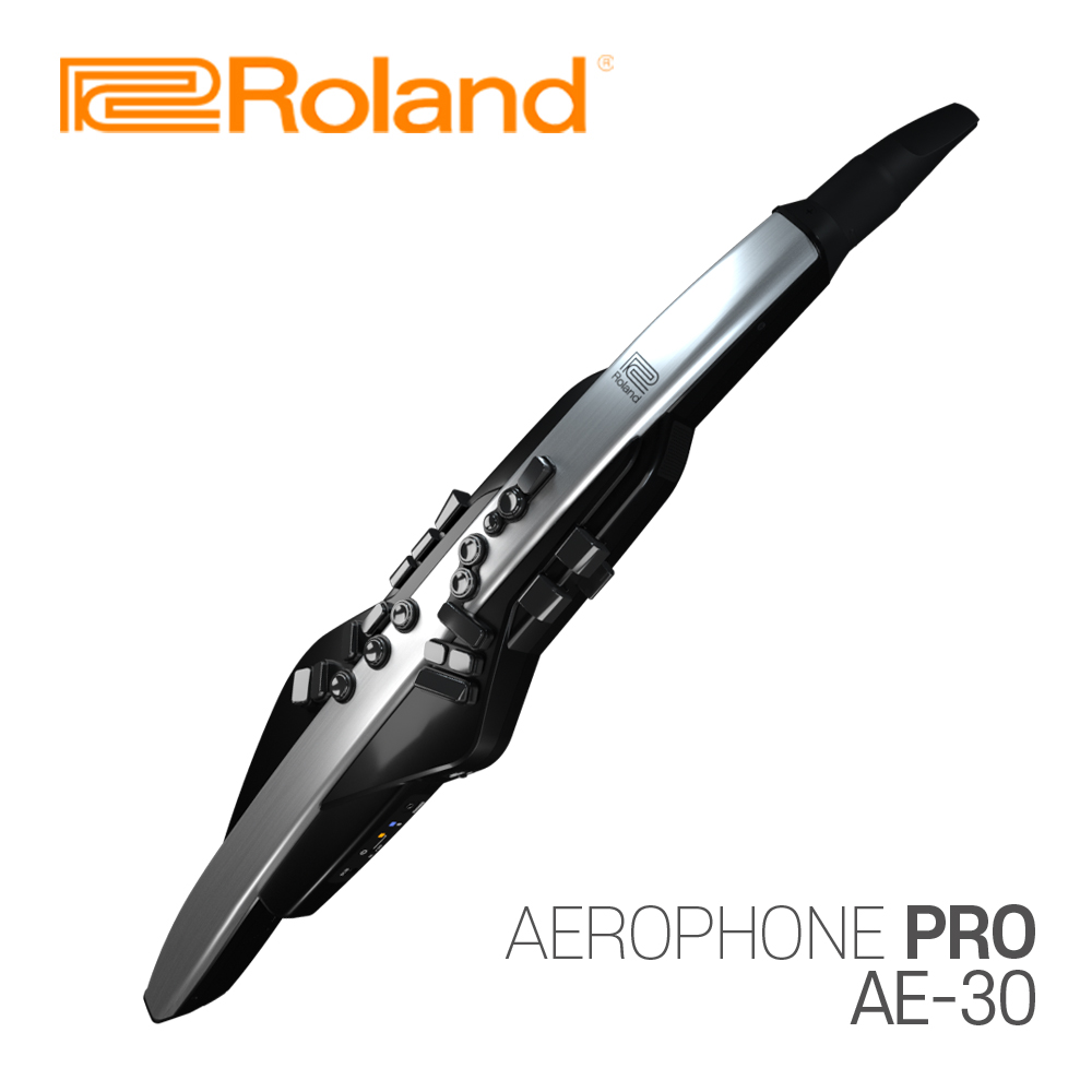[ROLAND] ѷ   AE-30 / Aerophone PRO AE-30 /   / ǰ